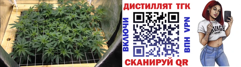 Дистиллят ТГК вейп с тгк  Купить  Дубна 