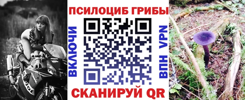 Псилоцибиновые грибы мухоморы  Купить где  Дубна 